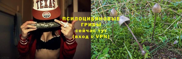 прущие крисы Баксан