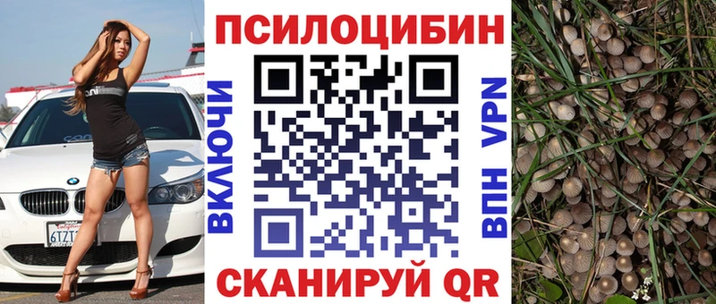 Псилоцибиновые грибы Cubensis  маркетплейс как зайти  Нея 