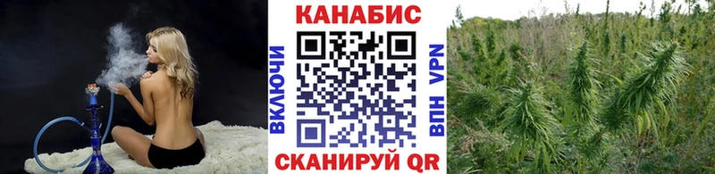 как найти закладки Нея Шишки марихуана ГИДРОПОН